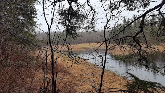 West Leveaux Pond Camp Picture 6