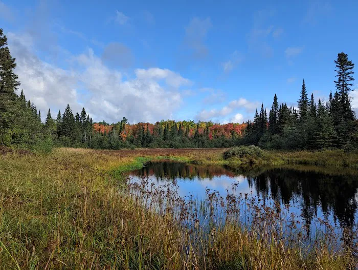 West Leveaux Pond Camp Picture 9