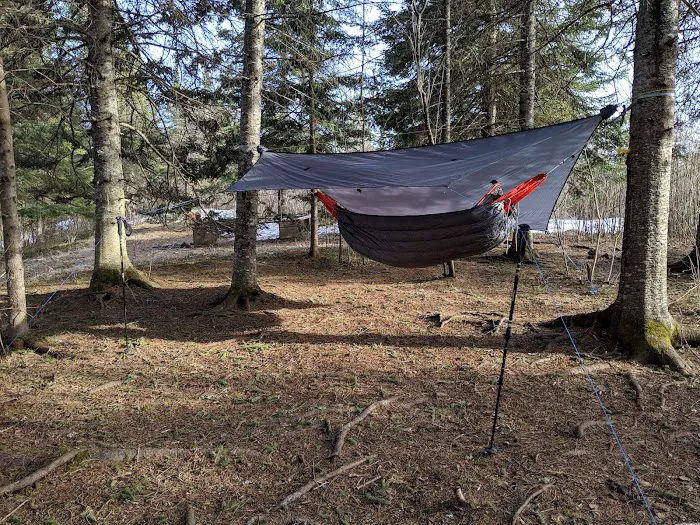 West Leveaux Pond Camp Picture 1