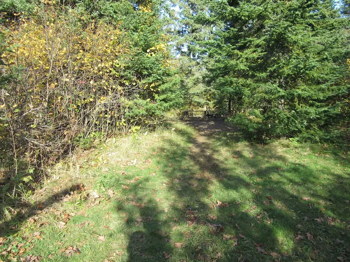 West Leveaux Pond Camp Picture 8