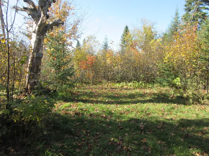 West Leveaux Pond Camp Picture 7