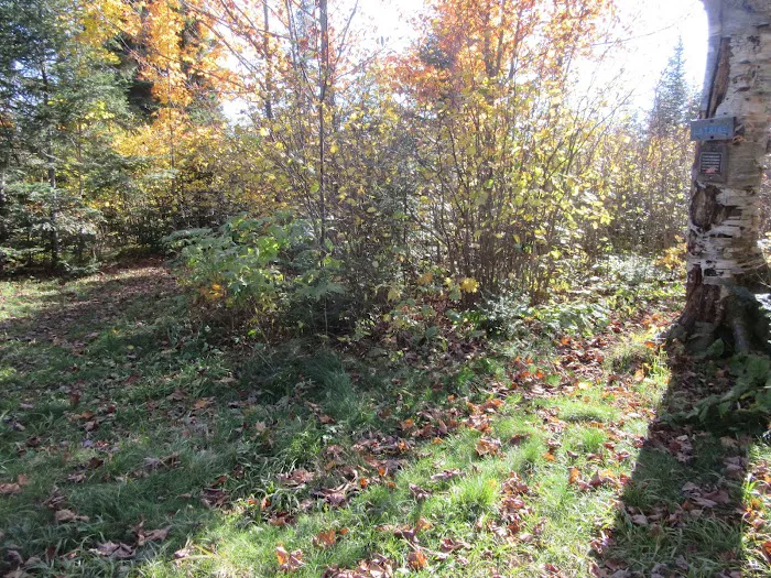 West Leveaux Pond Camp Picture 4