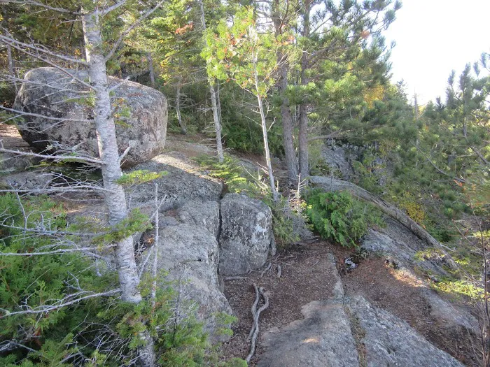 Onion River Camp Picture 3