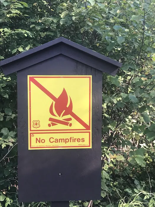 White Pine Lake Rustic Campground Picture 6