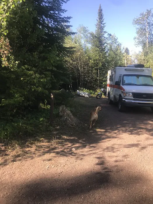 White Pine Lake Rustic Campground Picture 3