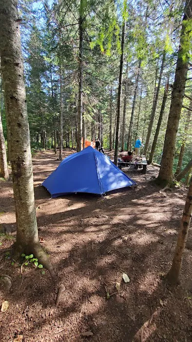 South Cross River Camp Picture 9