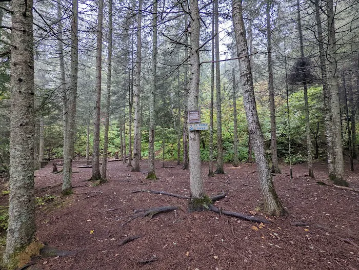 South Cross River Camp Picture 8