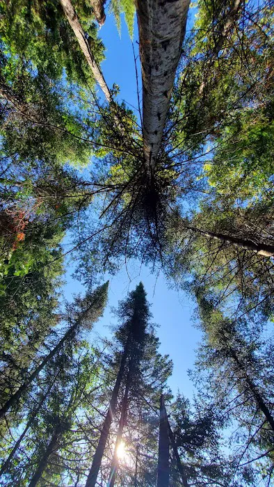 South Cross River Camp Picture 6