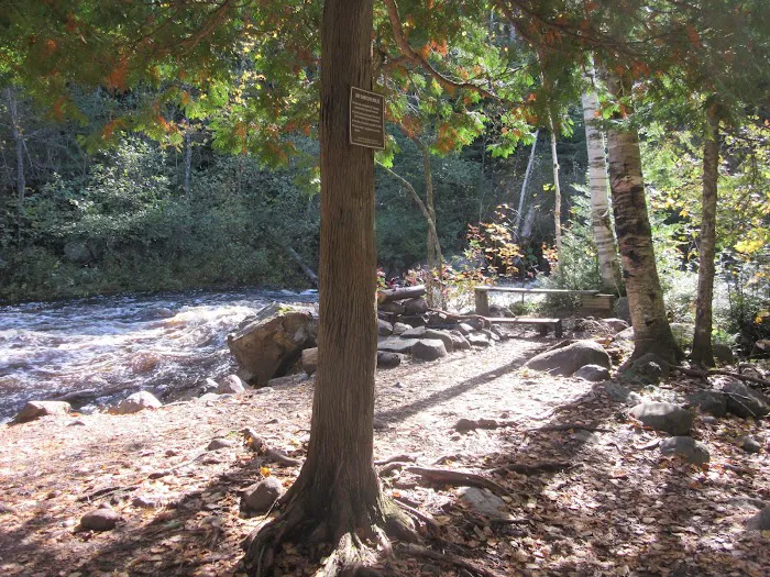 South Cross River Camp Picture 4