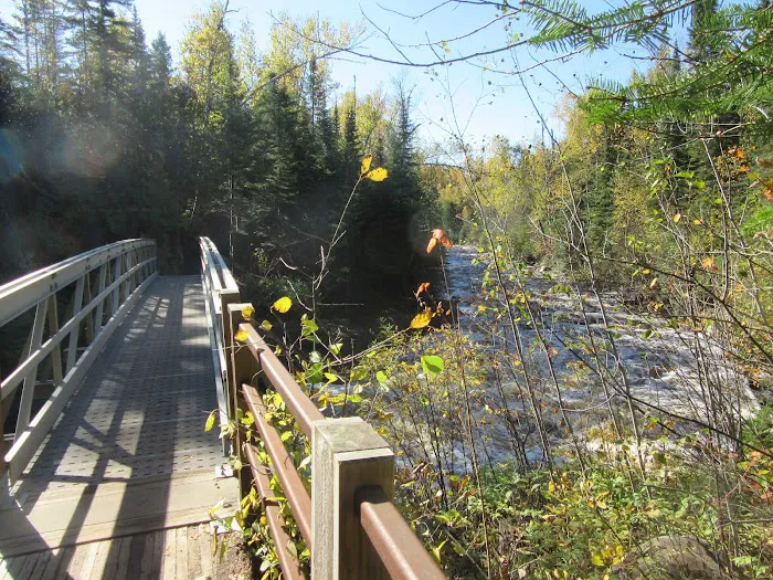 South Cross River Camp Picture 10