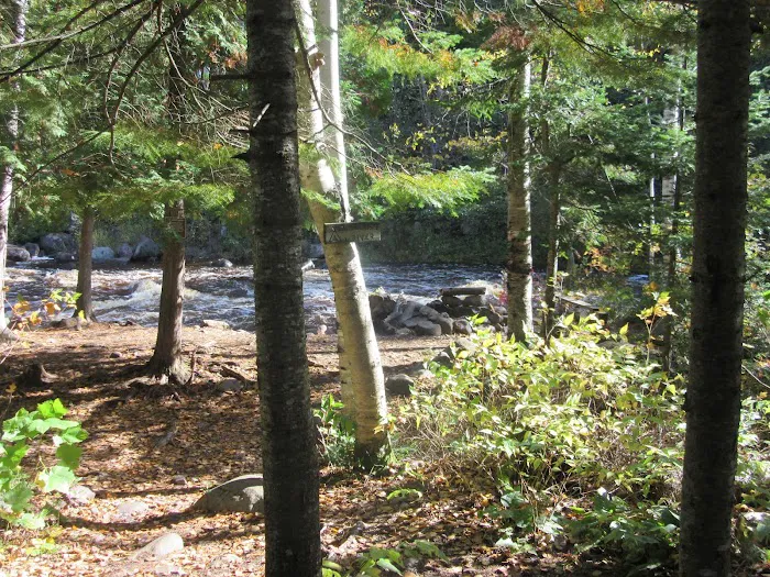 South Cross River Camp Picture 7