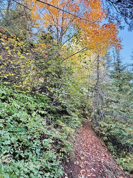 North Cross River Camp Picture 1