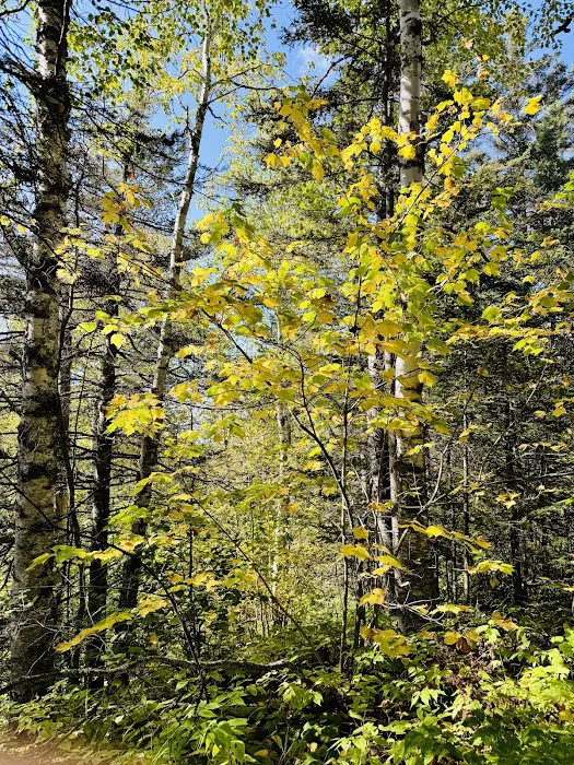 North Cross River Camp Picture 6