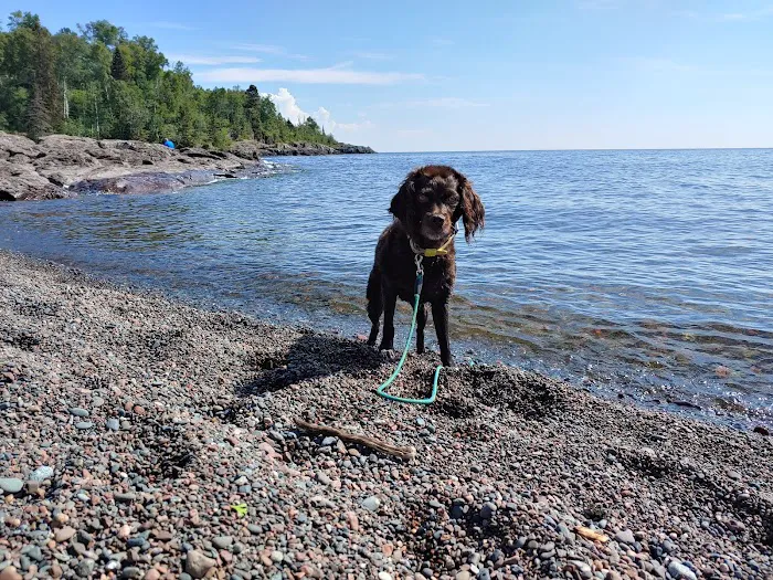 Lower Campground Picture 7