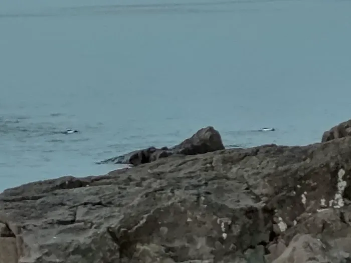 Lower Campground Picture 6