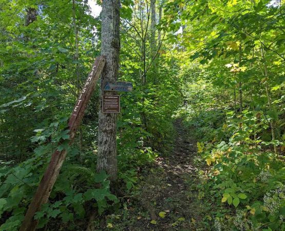 West Rollins Creek Camp
