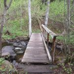 East Rollins Creek Camp