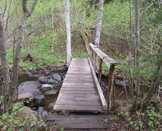 East Rollins Creek Camp