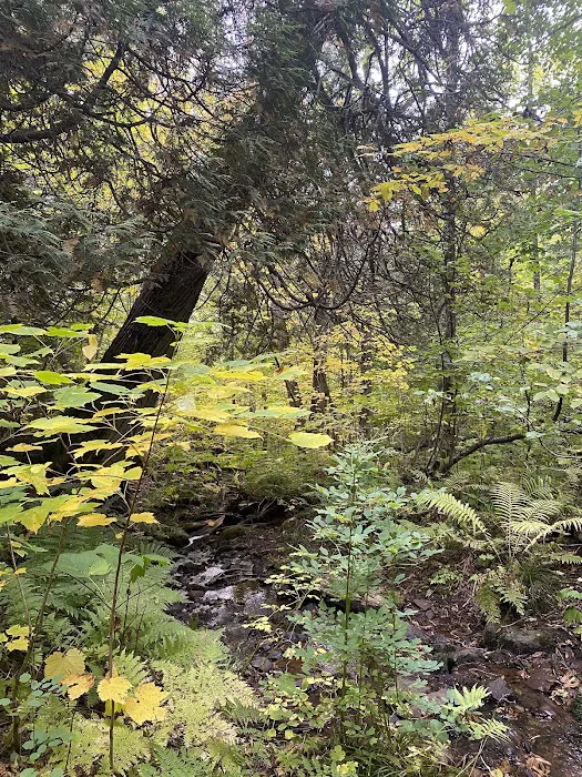 East Rollins Creek Camp Picture 4