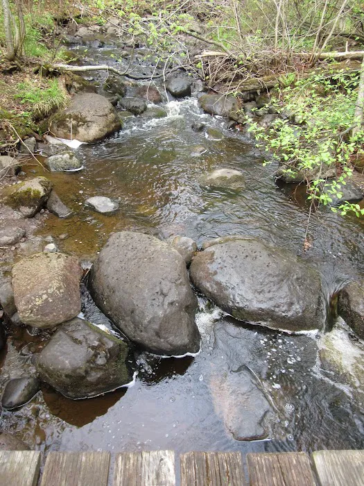 East Rollins Creek Camp Picture 8