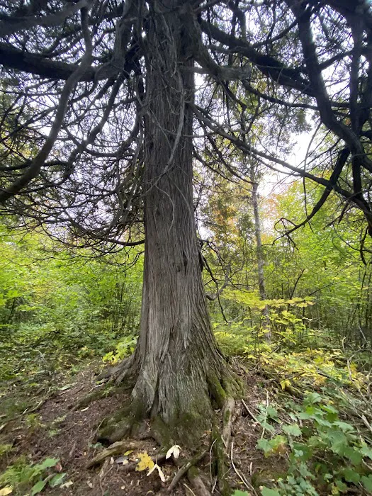 East Rollins Creek Camp Picture 2