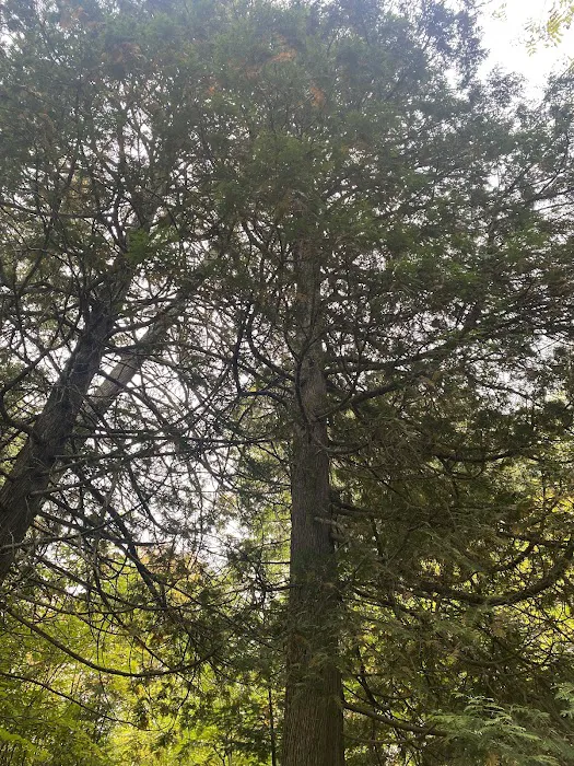 East Rollins Creek Camp Picture 5