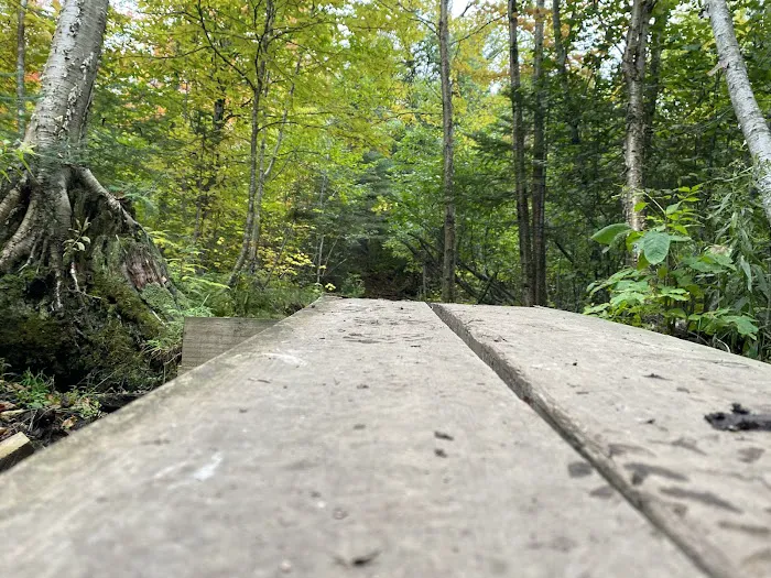 East Rollins Creek Camp Picture 3