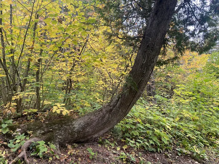 East Rollins Creek Camp Picture 10