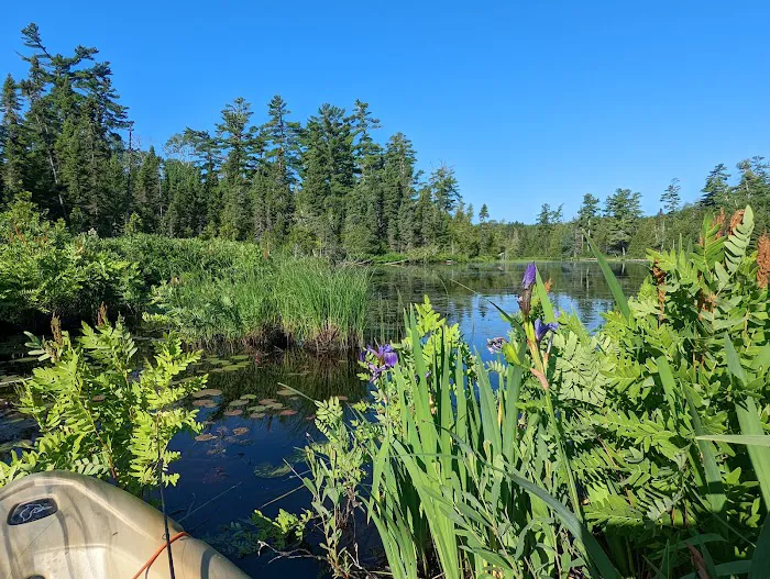 Clara Lake Rustic Campground Picture 2
