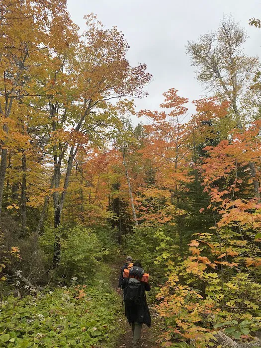 Mystery Mountain Camp Picture 1