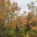 Mystery Mountain Camp