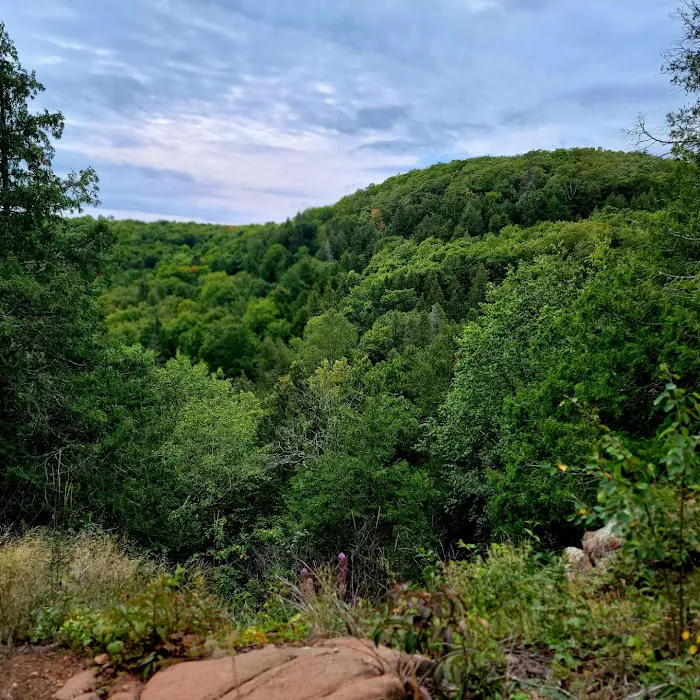 Mystery Mountain Camp Picture 9