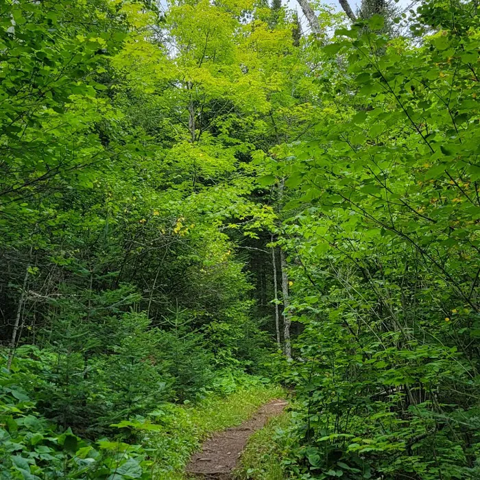 Mystery Mountain Camp Picture 3