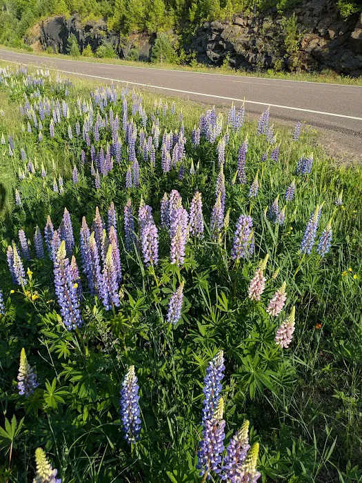 East Poplar River Camp Picture 6