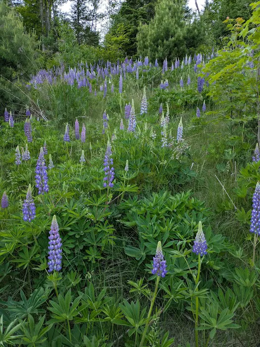 East Poplar River Camp Picture 10