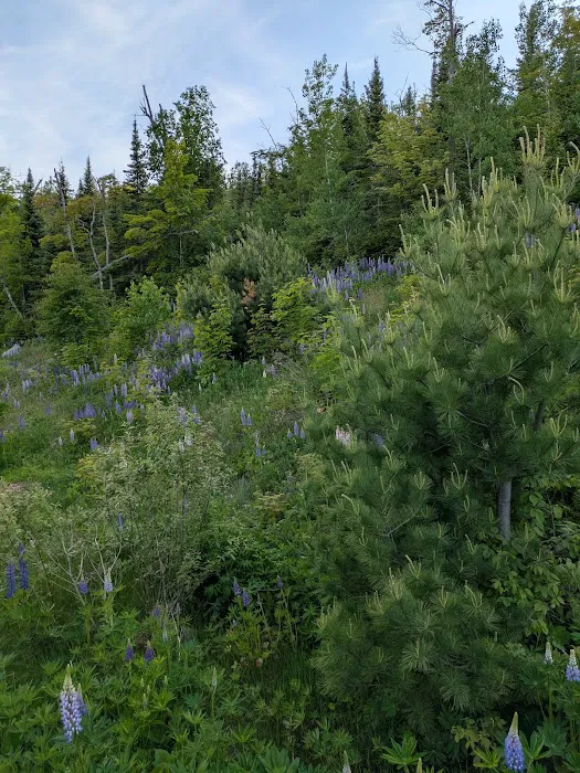 East Poplar River Camp Picture 1