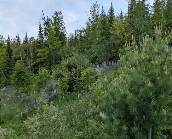 East Poplar River Camp