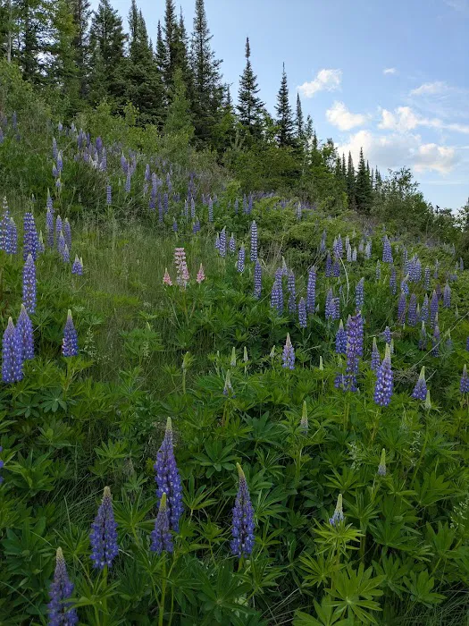East Poplar River Camp Picture 8
