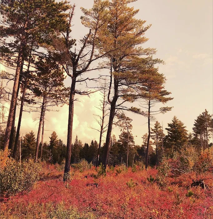 Crescent Lake Campground Picture 5