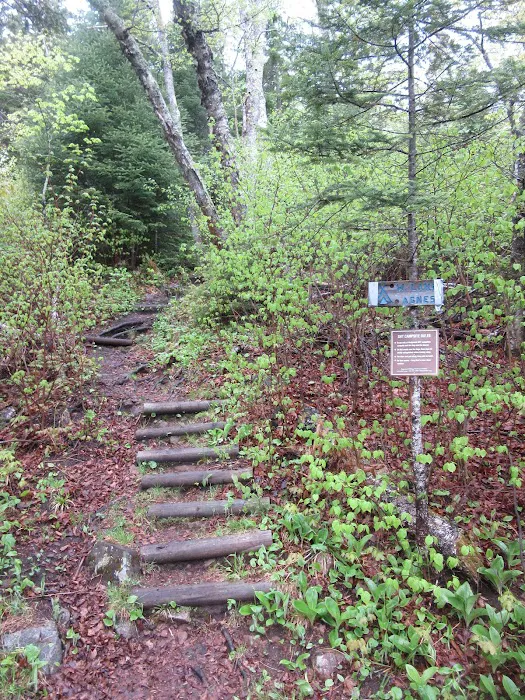 West Lake Agnes Camp Picture 3