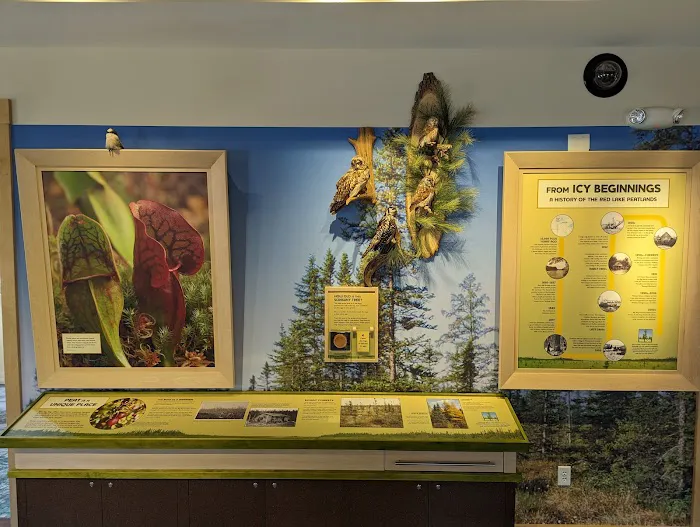 Big Bog Campground Picture 6