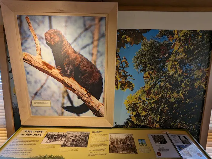 Big Bog Campground Picture 1