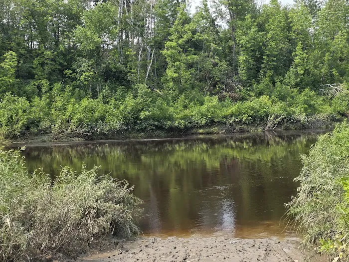 Lofgren Memorial Park Campground Picture 5