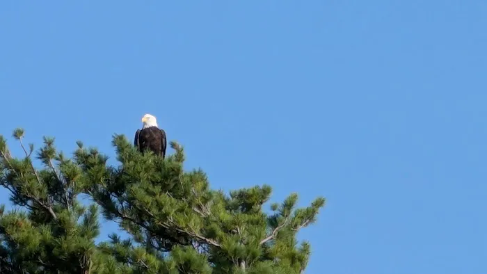 Voyageurs Sunrise Resort & Campground Picture 1