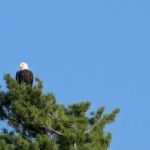 Voyageurs Sunrise Resort & Campground