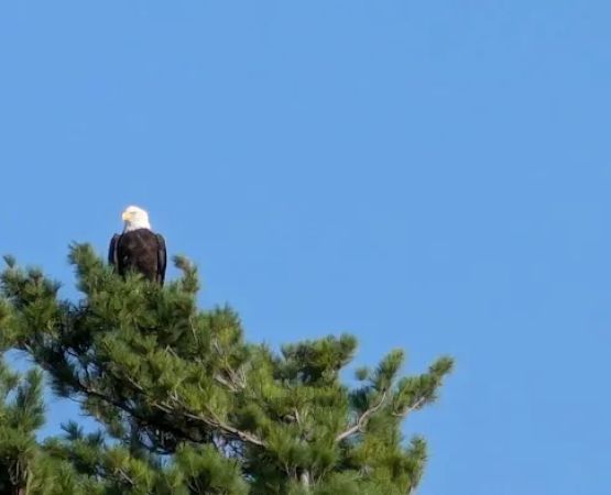 Voyageurs Sunrise Resort & Campground