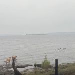 Sphunge Island West K53 Campsite