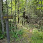 Wooden Frog Campground and Day Use Area