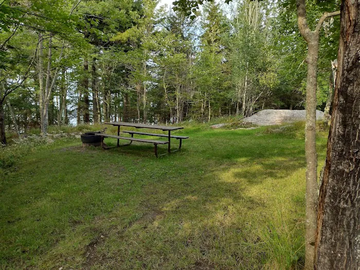 Wooden Frog Campground and Day Use Area Picture 7