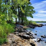 Wood duck campground K36